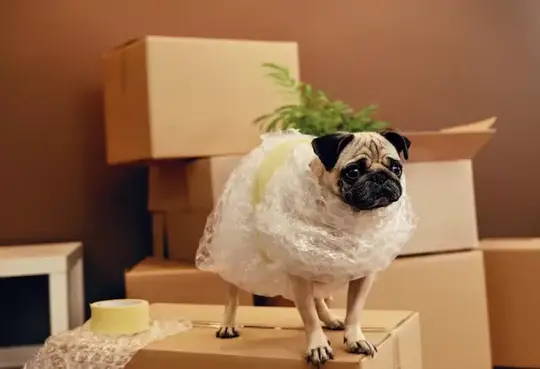 How to Make Moving House Less Stressful